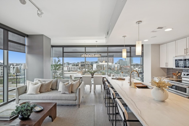 living room with rail lighting, floor to ceiling windows, dark wood-type flooring, and sink