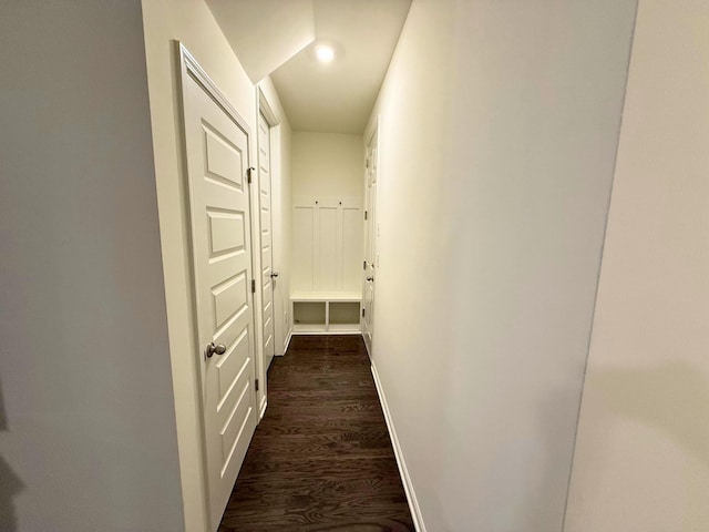 hallway featuring dark wood-type flooring