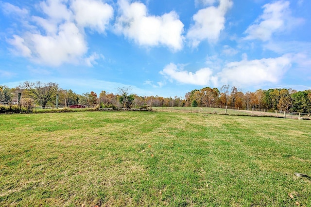 view of yard with a rural view