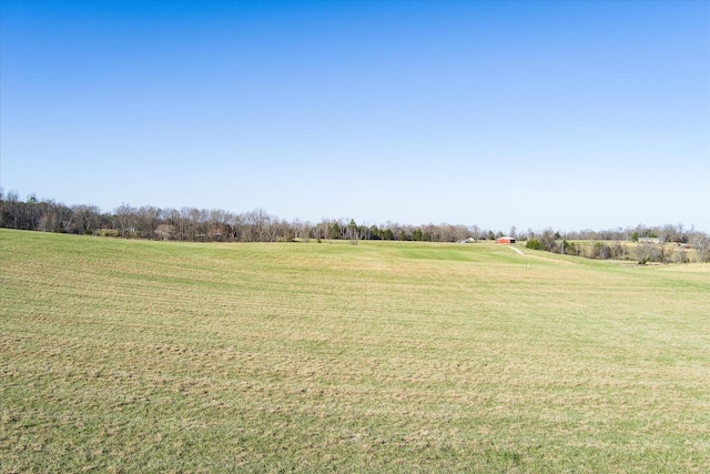 0 Odell Jolly Rd, Monroe, TN 38573 - photo 8