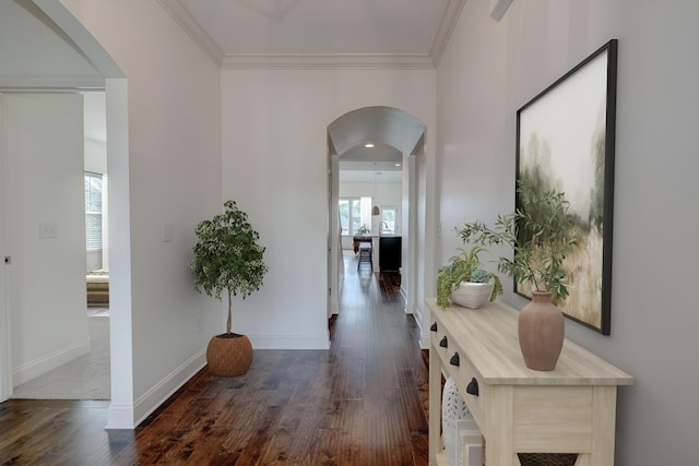 hall featuring dark hardwood / wood-style floors and ornamental molding