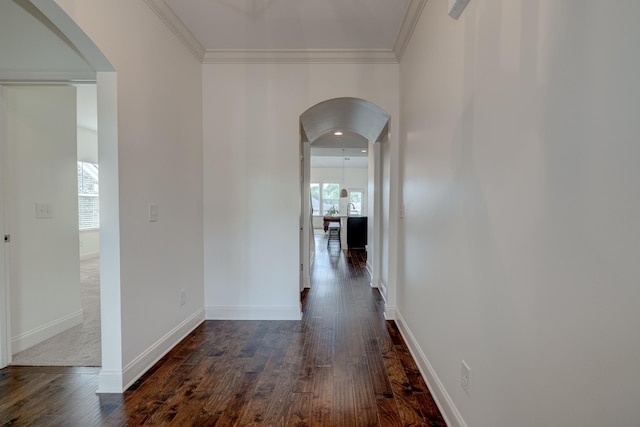 hall with dark hardwood / wood-style floors and ornamental molding