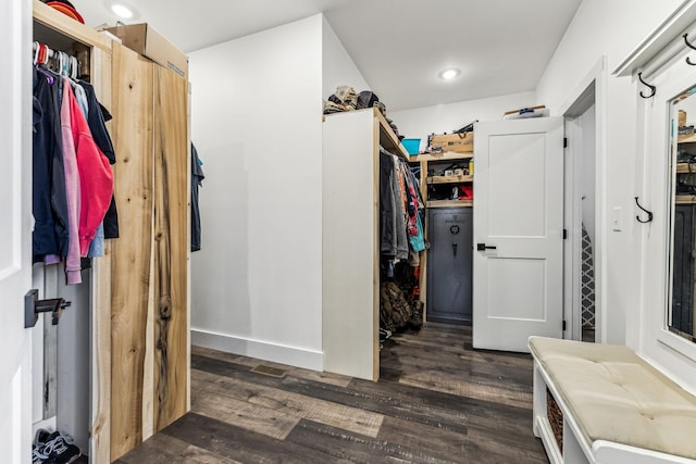 walk in closet featuring dark wood-type flooring