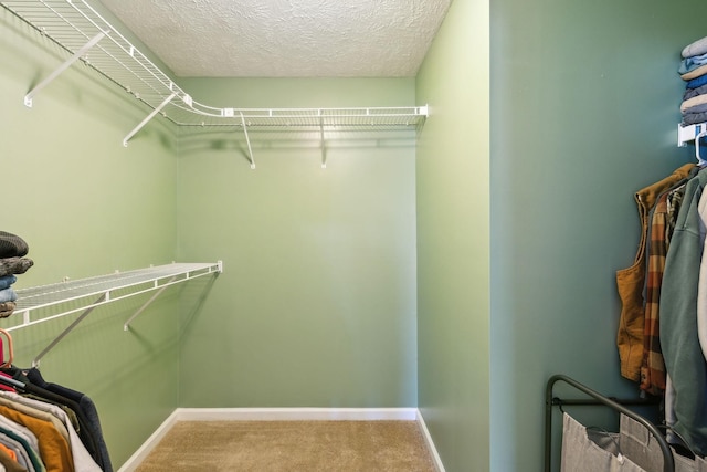 spacious closet with carpet flooring