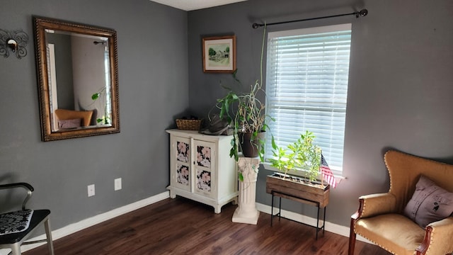 sitting room featuring dark hardwood / wood-style floors