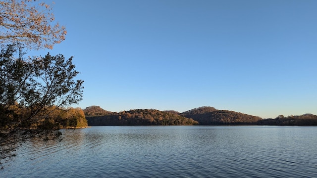 view of water feature