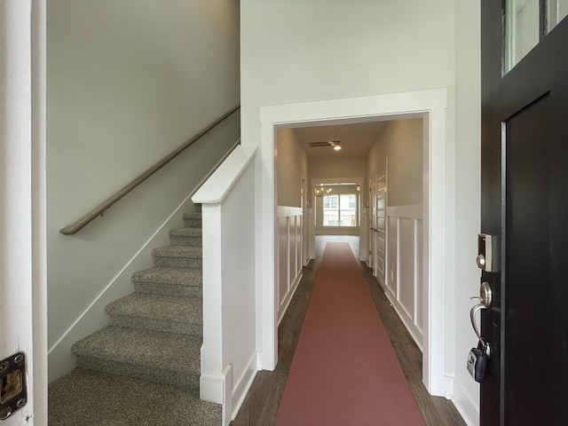 stairway with hardwood / wood-style floors