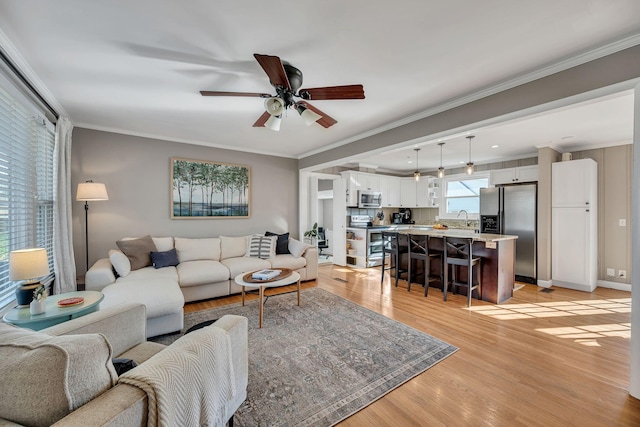 living room featuring light hardwood / wood-style floors, ceiling fan, crown molding, and sink