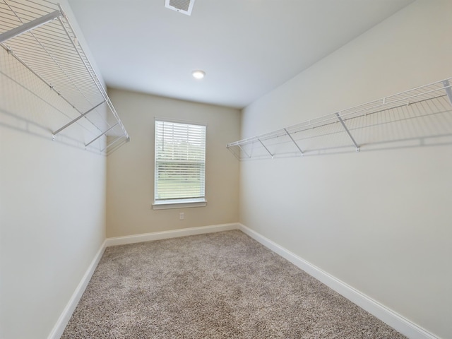 walk in closet with carpet flooring