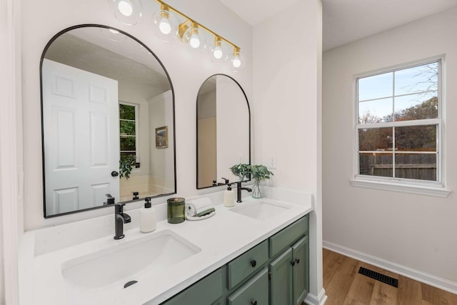 bathroom with hardwood / wood-style flooring and vanity