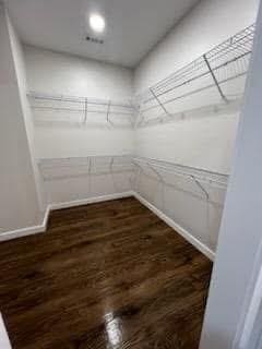 walk in closet with dark wood-type flooring