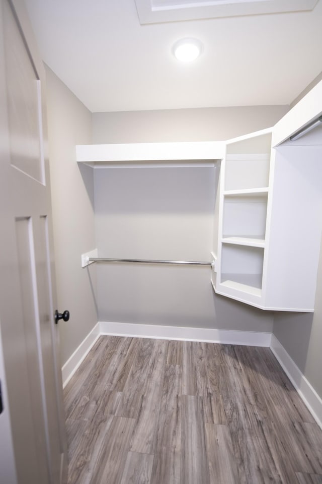 walk in closet with hardwood / wood-style flooring