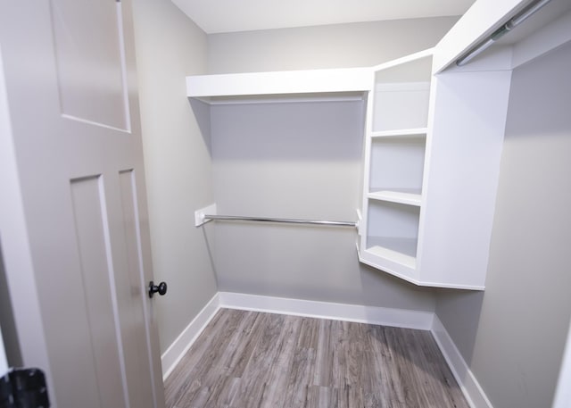 spacious closet with wood-type flooring