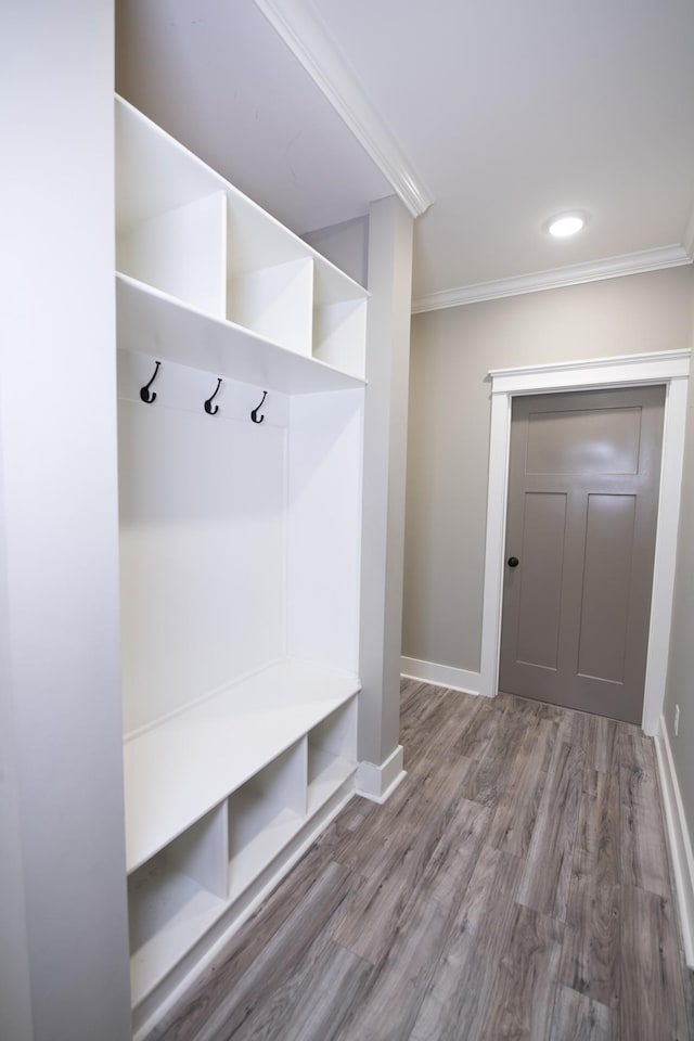 mudroom featuring wood-type flooring and ornamental molding