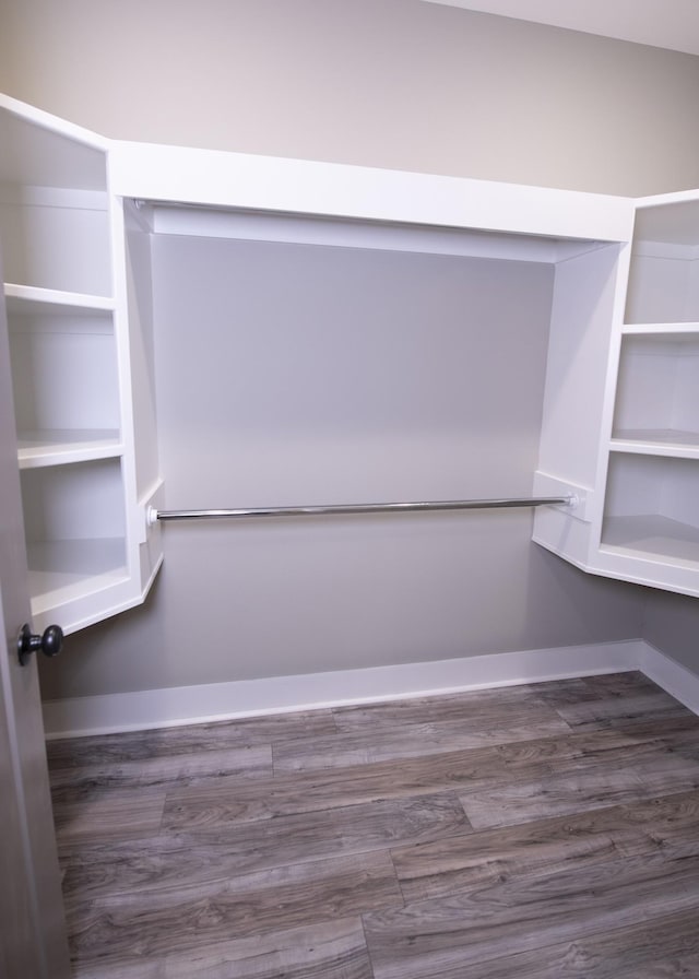 walk in closet featuring dark hardwood / wood-style flooring