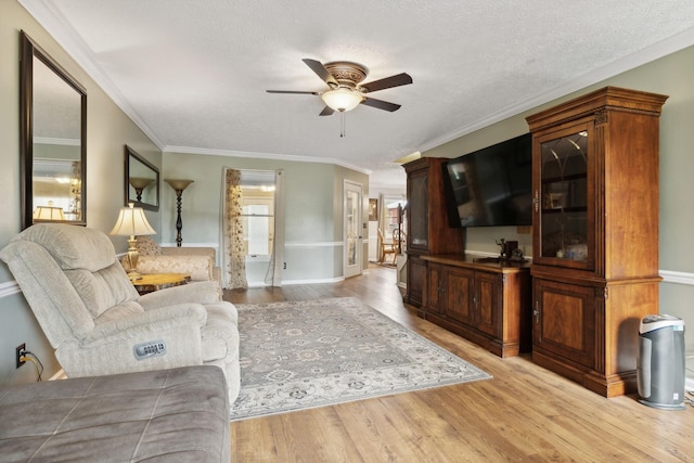 living room with crown molding, ceiling fan, light hardwood / wood-style floors, and a textured ceiling