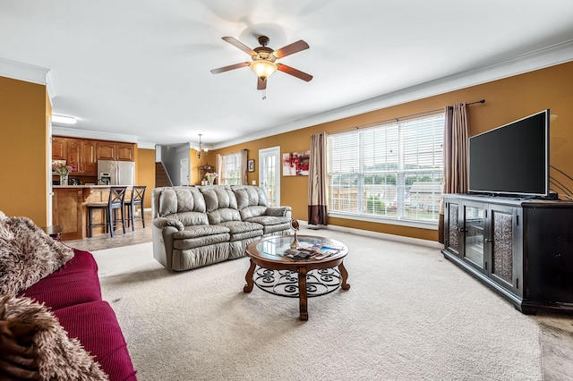 carpeted living room with ceiling fan with notable chandelier and crown molding