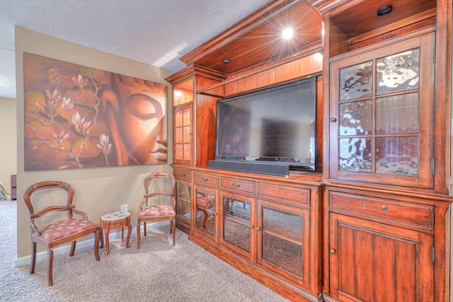 living area featuring light colored carpet and a textured ceiling