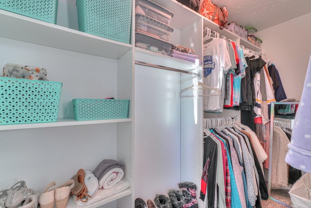 view of spacious closet