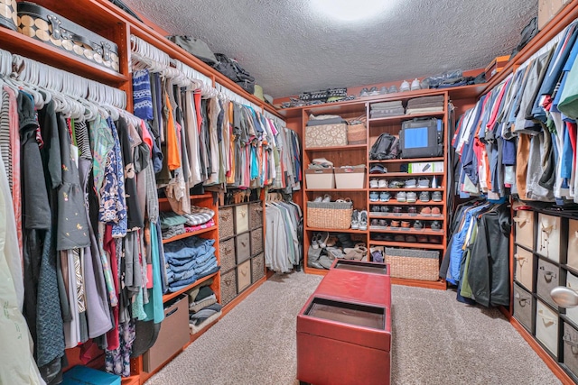 spacious closet featuring carpet flooring