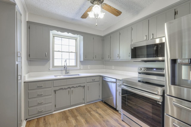 kitchen with gray cabinets, sink, stainless steel appliances, and light hardwood / wood-style floors