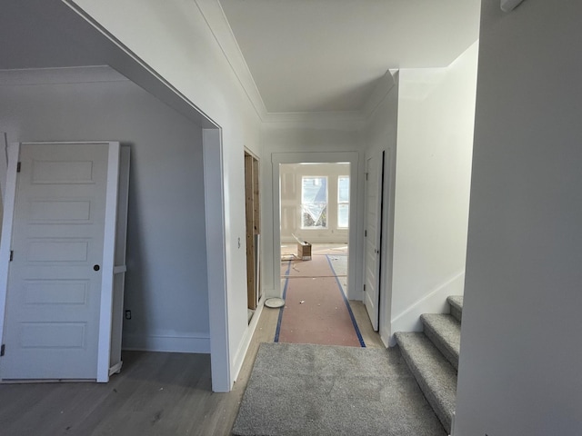 hallway with dark hardwood / wood-style floors and ornamental molding