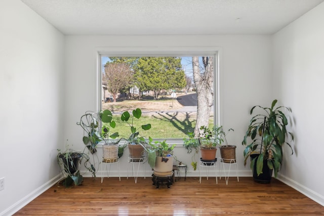 living area featuring hardwood / wood-style floors, a textured ceiling, and a wealth of natural light