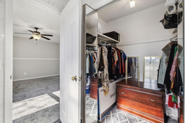 walk in closet with light colored carpet and ceiling fan