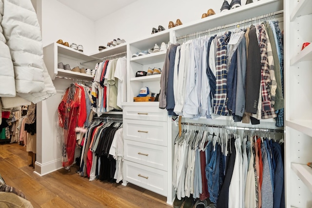 spacious closet featuring wood-type flooring