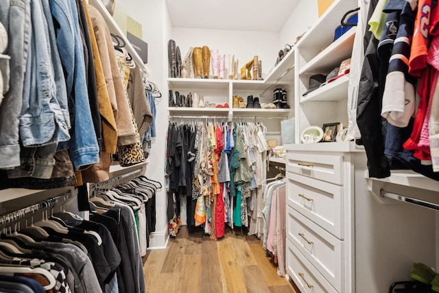 spacious closet with light hardwood / wood-style floors