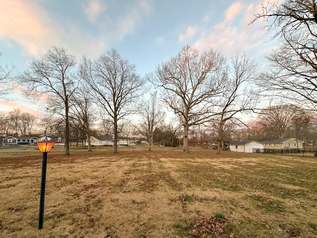 view of yard at dusk