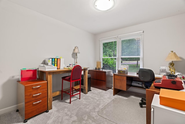 office space featuring light colored carpet