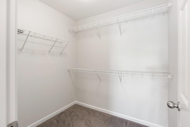 spacious closet with carpet floors