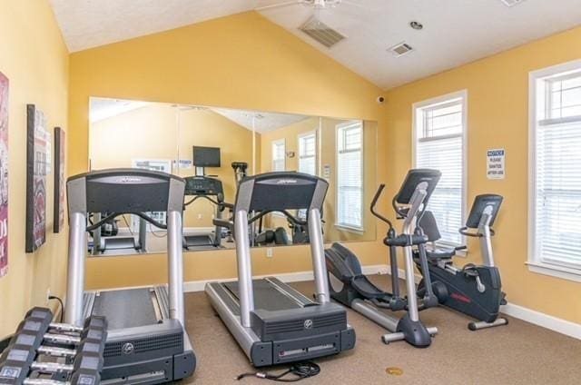 workout room with carpet, ceiling fan, a wealth of natural light, and vaulted ceiling