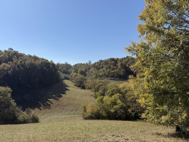 0 Robinson Rd, Frankewing TN, 38459 land for sale