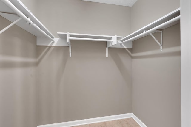 view of spacious closet