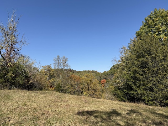 Listing photo 2 for 0 Robinson Rd, Frankewing TN 38459