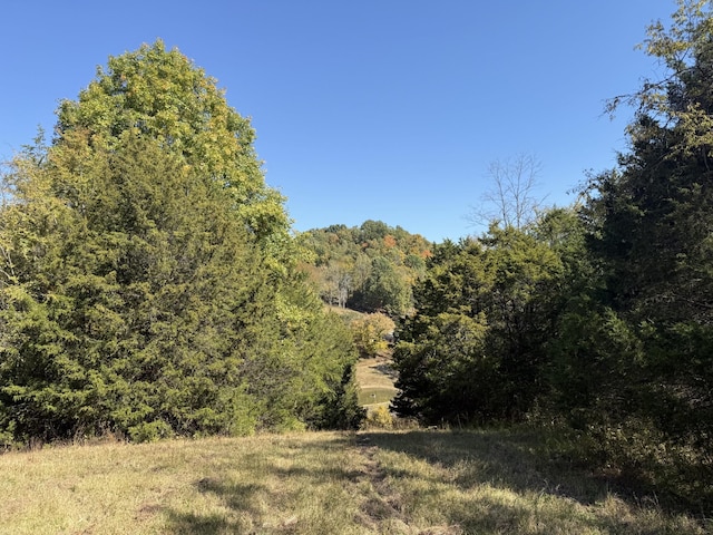 0 Robinson Rd, Frankewing TN, 38459 land for sale