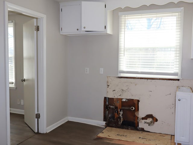 clothes washing area featuring plenty of natural light and dark hardwood / wood-style flooring