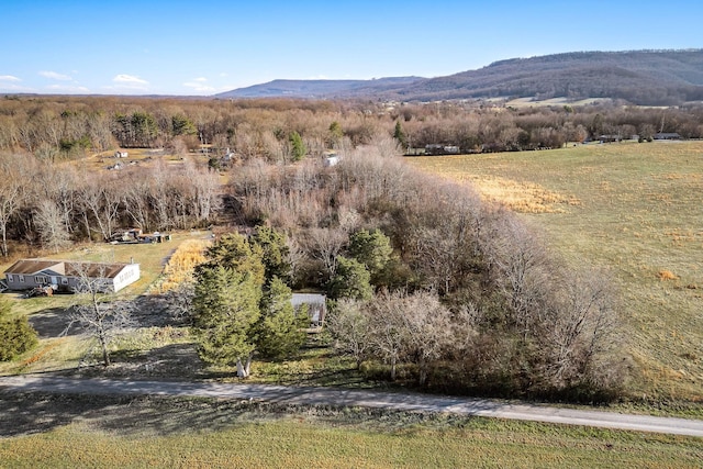 255 George Wright Rd, Mc Minnville TN, 37110 land for sale