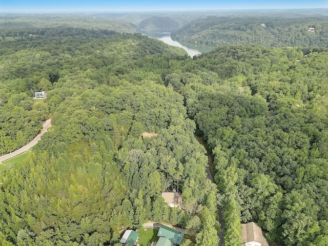 1090 Fairways Dr, Smithville, TN 37166 - photo 55