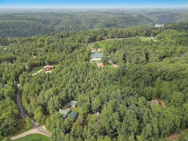 1090 Fairways Dr, Smithville, TN 37166 - photo 57