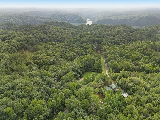 1090 Fairways Dr, Smithville, TN 37166 - photo 56