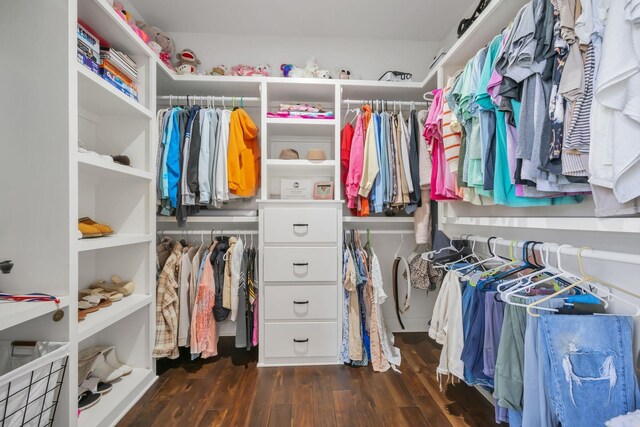 walk in closet with dark hardwood / wood-style flooring