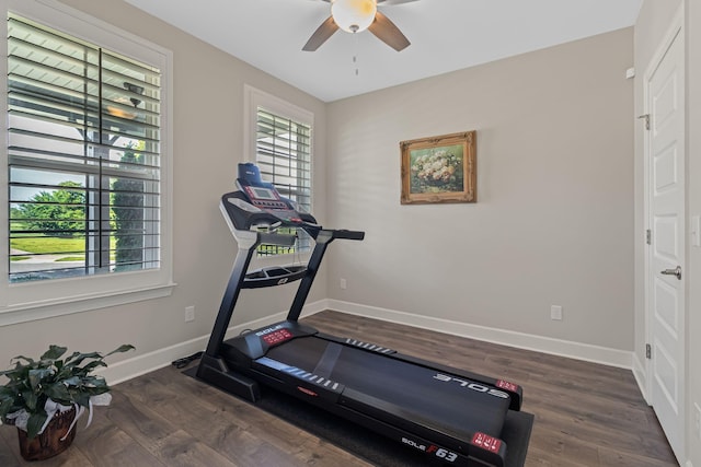 workout room featuring ceiling fan and dark wood-type flooring