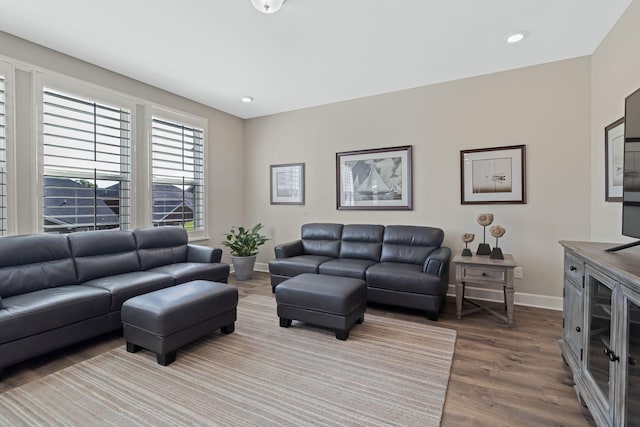 living room featuring hardwood / wood-style floors