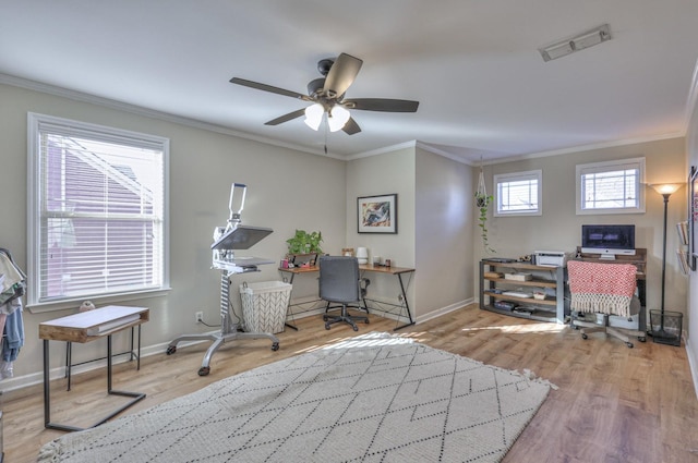 home office featuring ceiling fan, light wood-type flooring, and crown molding