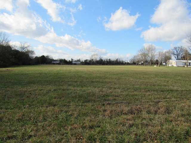 view of yard featuring a rural view