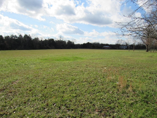 view of yard featuring a rural view