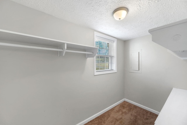 spacious closet featuring carpet flooring and electric panel